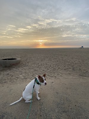 Huntington State Beach by null