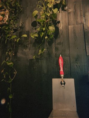 Booze Brothers Brewing Co. by null