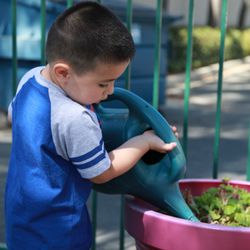 Watering the plants  encourages physical activity and responsibility.