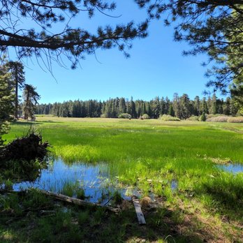 Bluff Lake Reserve - This photo unfortunately doesn't convey how nice the view actually is. - Parks Near Me - Angelus Oaks, California