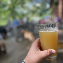 Frog Level Brewing