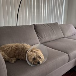 Foam Mart - Culver City - Couch with new foam