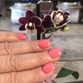 Bella Tan & Nails - Donna is wonderful and the facility is clean, beautiful and staff always pampers the customer! - Nail Salons Near Me - Cary, North Carolina Bella Tan & Nails - Donna is wonderful and the facility is clean, beautiful and staff always pampers the customer! - Nail Salons Near Me - Cary, North Carolina