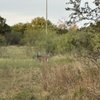 Walker Ranch Historic Landmark Park gift card