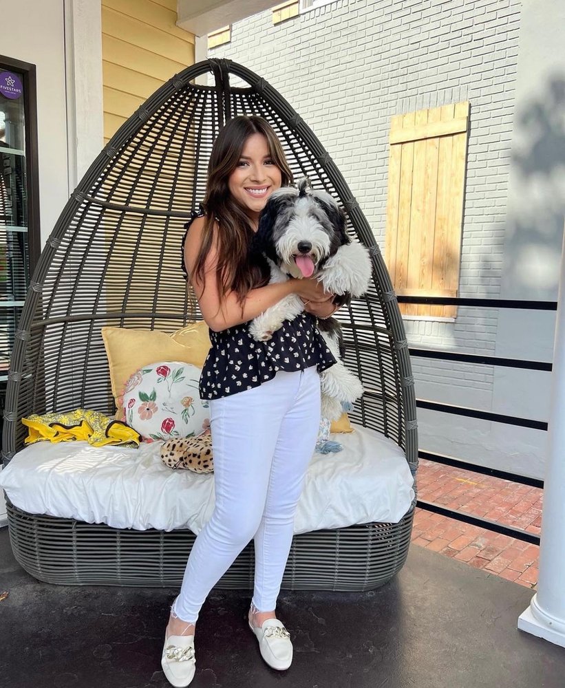 Uptown Pup Image