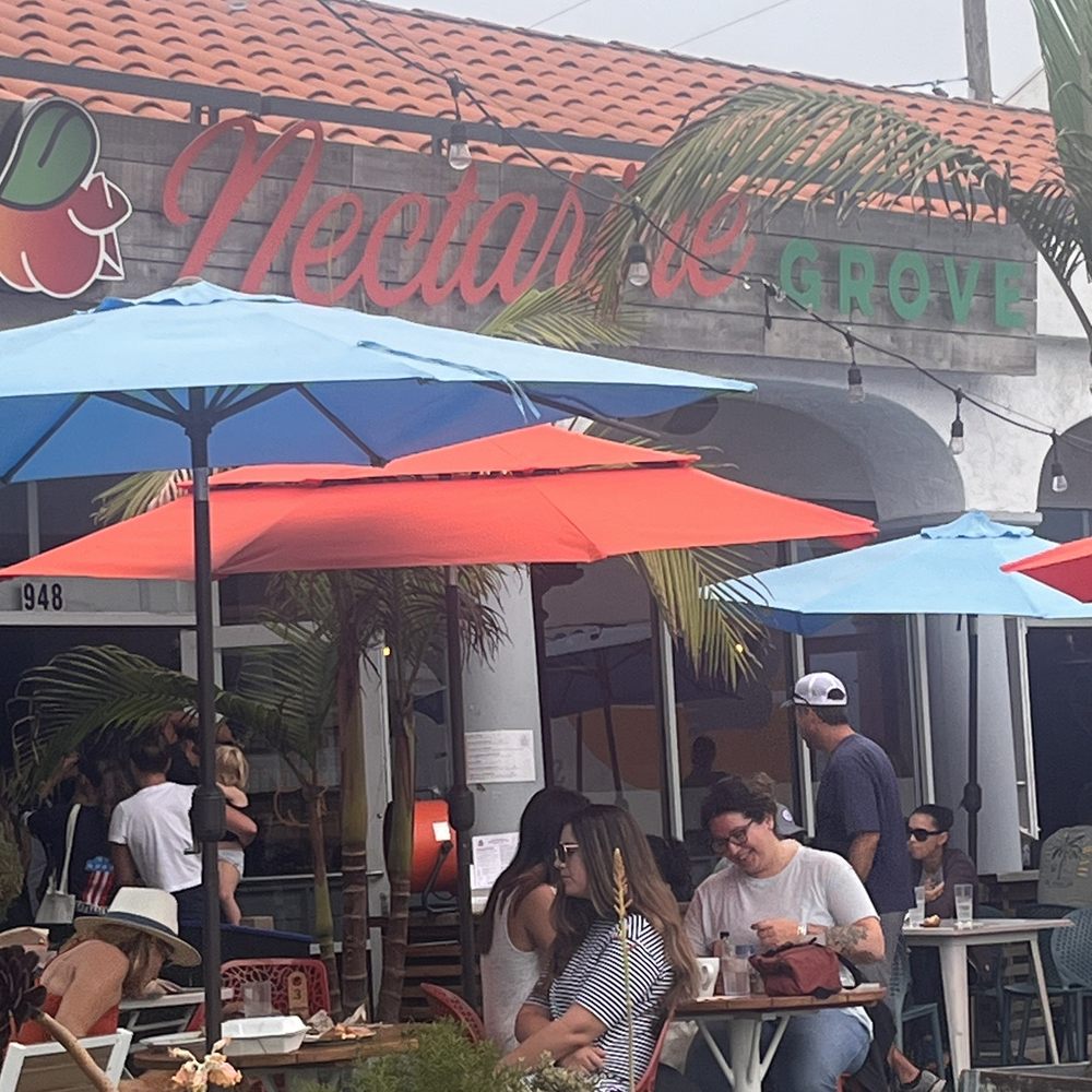 Nectarine Grove - Cute outside area that is SUPER dog friendly!! - New American Near Me - Encinitas, California Nectarine Grove - Cute outside area that is SUPER dog friendly!! - New American Near Me - Encinitas, California