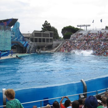 Shamu Show: Believe - Arts & Entertainment Near Me - San Diego, California Shamu Show: Believe - Arts & Entertainment Near Me - San Diego, California
