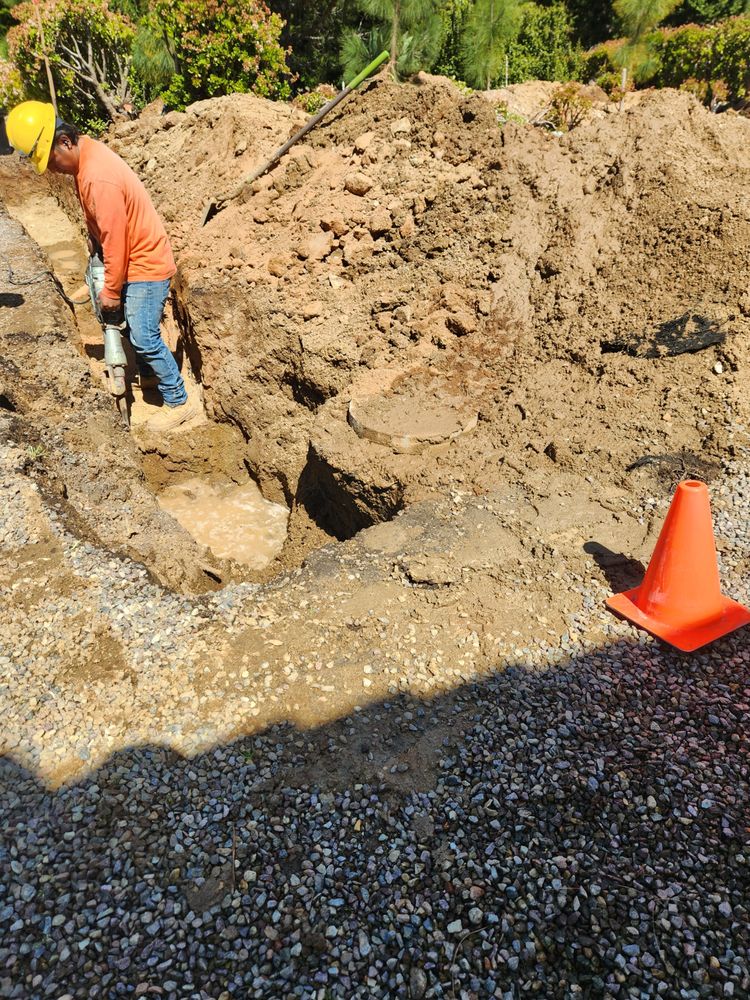 DUTCH DRAIN Updated October 2024 18 Photos 4326 Navajo Ave