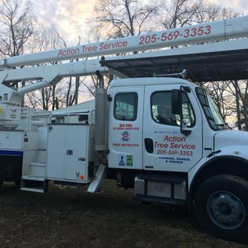 Action Tree Service - Wants to work for you - Tree Services Near Me - Birmingham, Alabama
