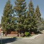 Photo of Central California Endodontics
