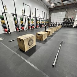 Majestic Fitness