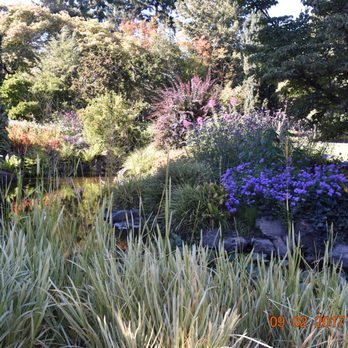 Queen Elizabeth Park - Parks Near Me - Vancouver, British Columbia