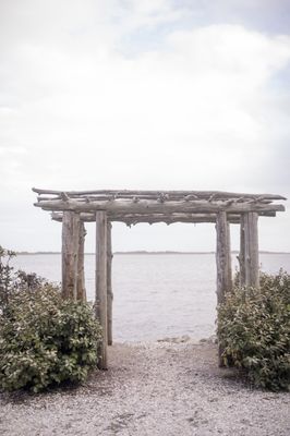 Basnight's Lone Cedar Cafe by null