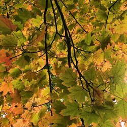 Mill Creek MetroParks