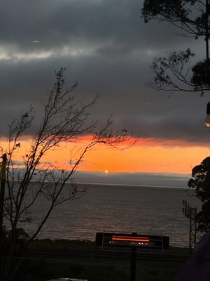 Leila by the Bay by null