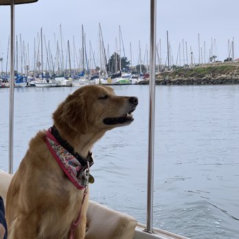 Hopper Boat Rentals - Sammy the birthday girl - Boating Near Me - Oxnard, California