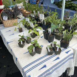 Carmichael Farmer's Market - Carmichael Farmers Market-Vendors