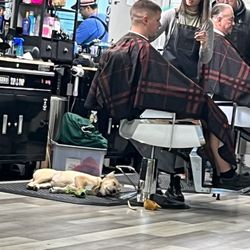Anchored Traditions - A cute puppy that is so relaxed.
