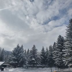 Aspen Snowmass-Aspen Skiing Company