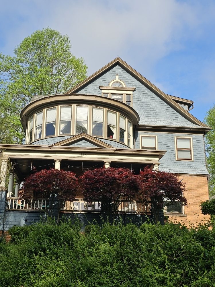 Slide of A Quick Fix Genie