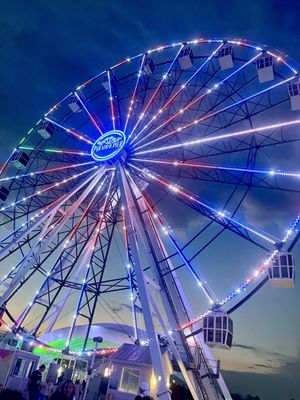 Paradise Pier Fun Park by null