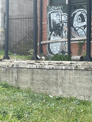 Dequindre Cut by null