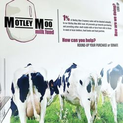 Motley Moo Creamery