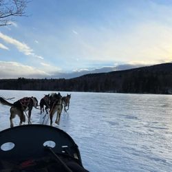Ultimate Dog Sledding Experience