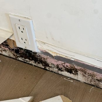 The Property Doctors - Severe pink & black mold damage to wall & baseboard from water leak - Damage Restoration Near Me - Anaheim, California The Property Doctors - Severe pink & black mold damage to wall & baseboard from water leak - Damage Restoration Near Me - Anaheim, California