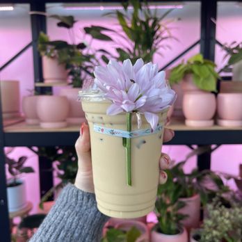 Bloomsgiving - Pistachio latte - Florists Near Me - Mountain View, California