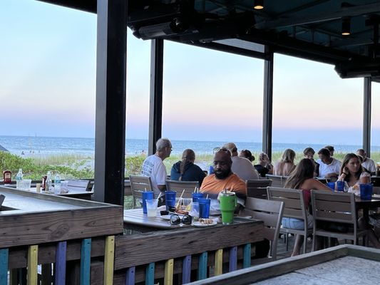 Coconuts on the Beach by null