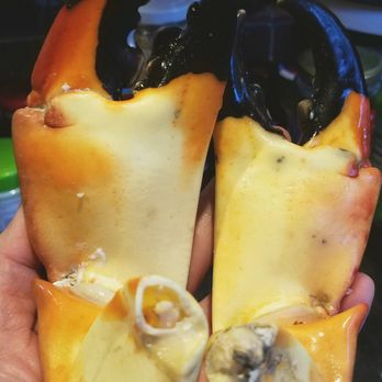 George Stone Crab - claws, anyone? - Seafood Markets Near Me - Miami, Florida George Stone Crab - claws, anyone? - Seafood Markets Near Me - Miami, Florida