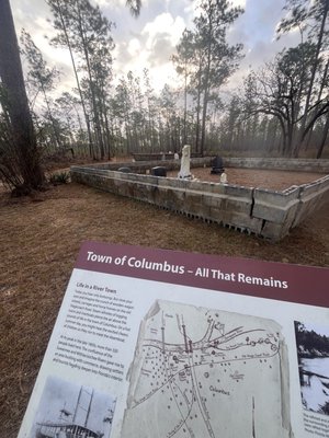 Suwannee River State Park by null