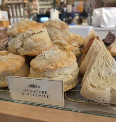 Kitten and the Bear by null