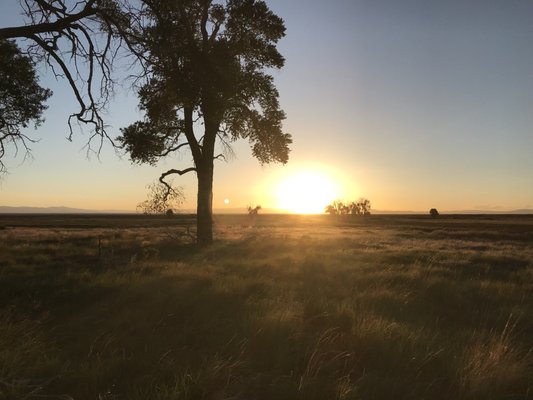 Zapata Ranch by null