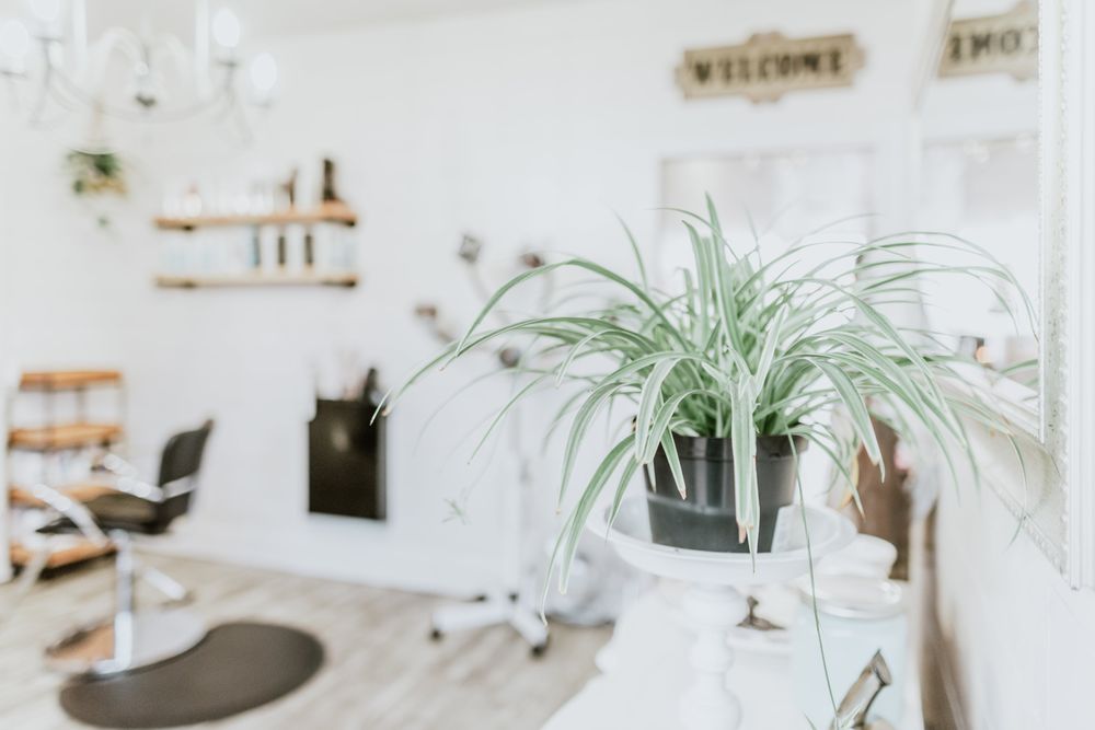 THE STUDIO CLOSED Updated August 2024 81 Photos 1700 S 1st Ave