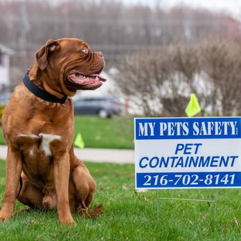 1. My Pets Safety