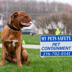 My Pets Safety