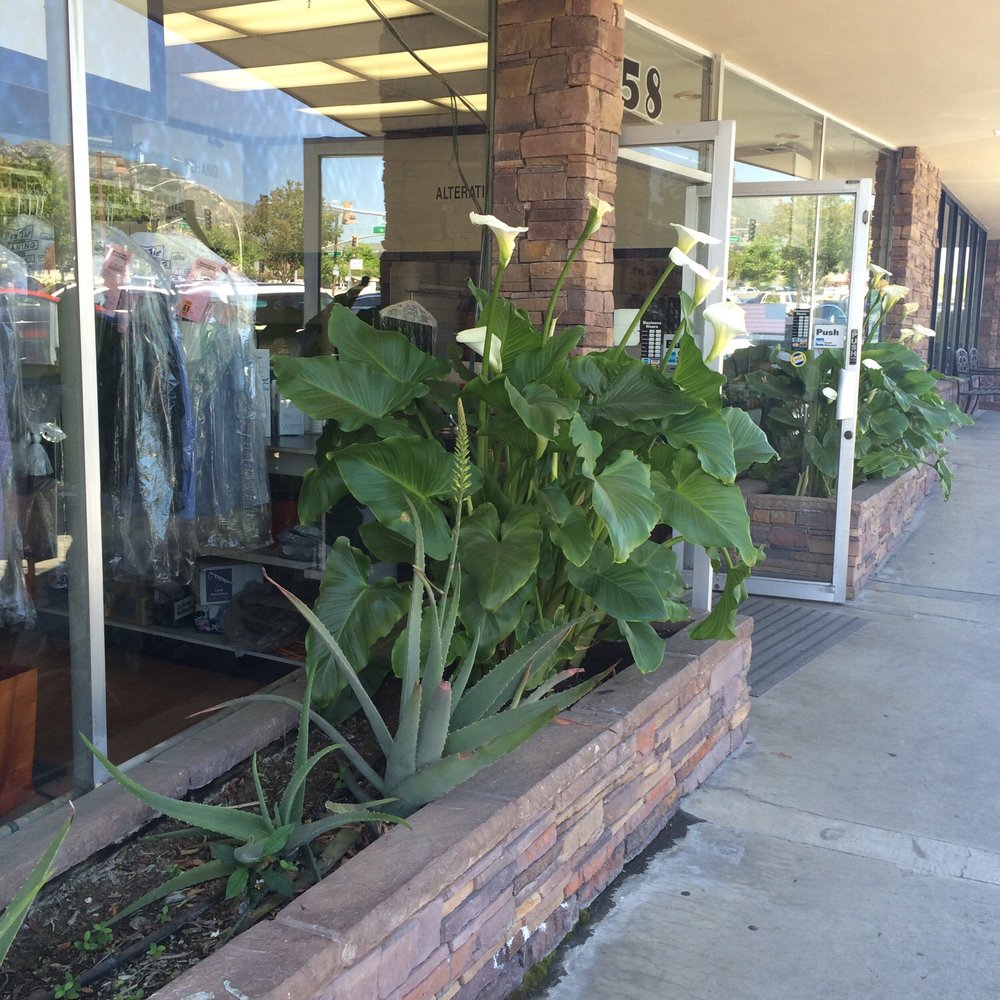 Bow-Tie Cleaning & Laundry - Frontage - Laundry Services Near Me - La Canada Flintridge, California