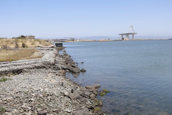 Candlestick Point State Recreation Area by null