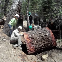 High Sierra Volunteer Trail Crew
