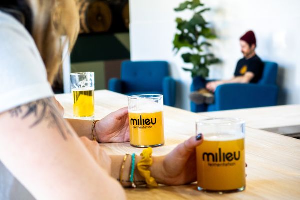 Milieu Fermentation by null