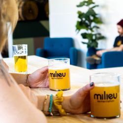 Milieu Fermentation