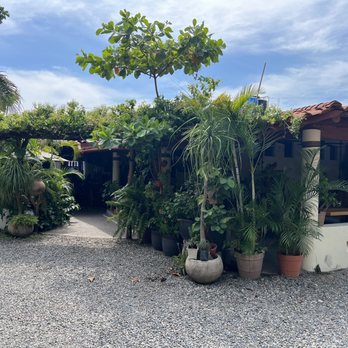 Carmelitas Cafe - Entrance, off the main Street. - Mexican Near Me - Zihuatanejo, GRO Carmelitas Cafe - Entrance, off the main Street. - Mexican Near Me - Zihuatanejo, GRO