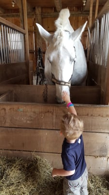 Grandpa Tiny's Farm by null