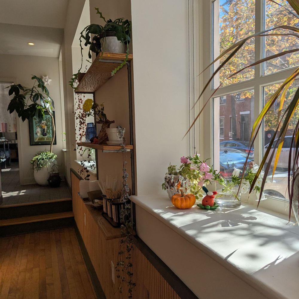 Seaforest Bakeshop - Coffee & Tea Near Me - Philadelphia, Pennsylvania Seaforest Bakeshop - Coffee & Tea Near Me - Philadelphia, Pennsylvania
