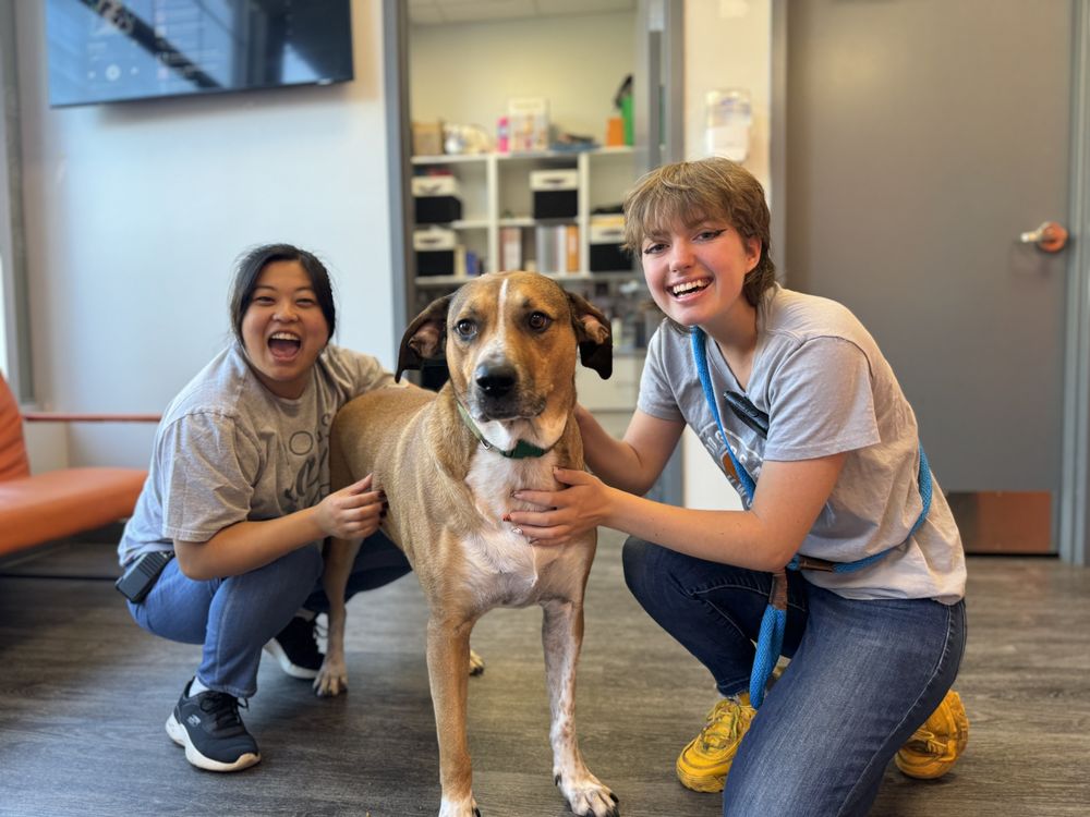 Dogtopia of Wilmington - pet boarding facility in Wilmington, DE