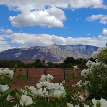Corrales Winery - Taken on Sept 15, 2017 from the patio. Such a beautiful view! A most enjoyable experience. Julie & Kevin from Highland, IL - Wineries Near Me - Corrales, New Mexico
