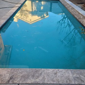 Pacific Pools & Patios - Pool filled for the first time. - Hot Tub & Pool Near Me - Riverside, California
