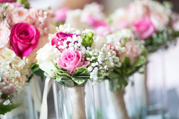 Floral & Fruit Paradise by null